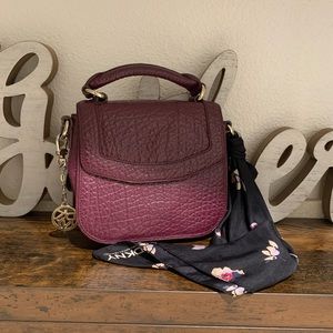 DKNY Purple Hand Bag